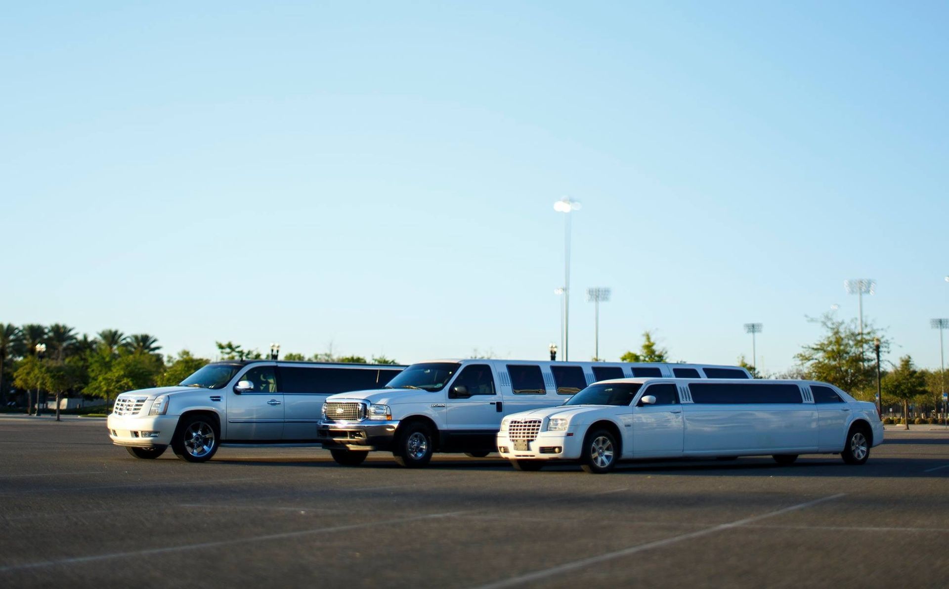 Four white limousines parked side by side in a sunny parking lot