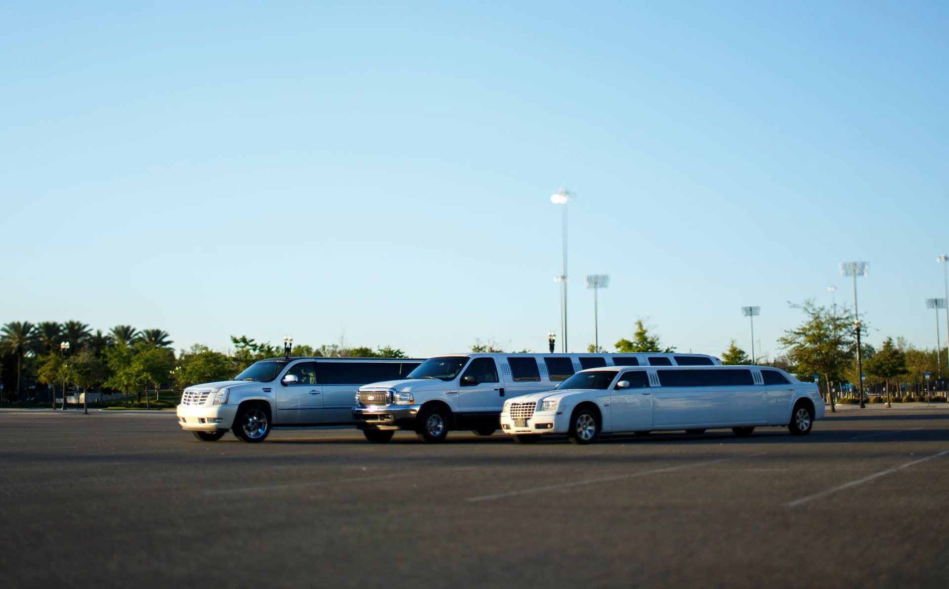 Three parked silver cars in an open lot under a clear blue sky