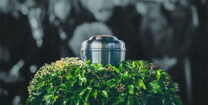 Cremation Urn sitting atop a lush bush