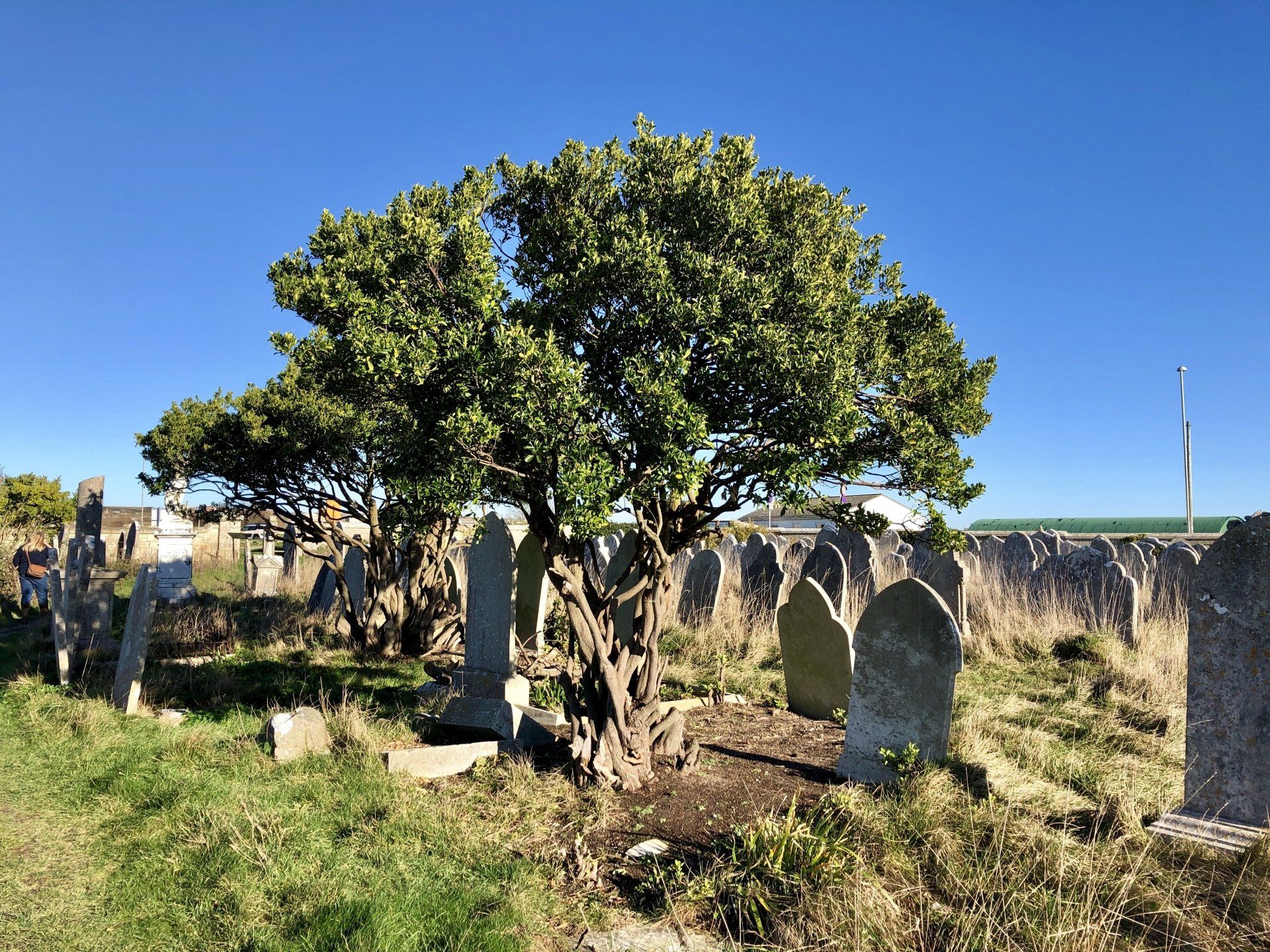 South West Heritage Tours