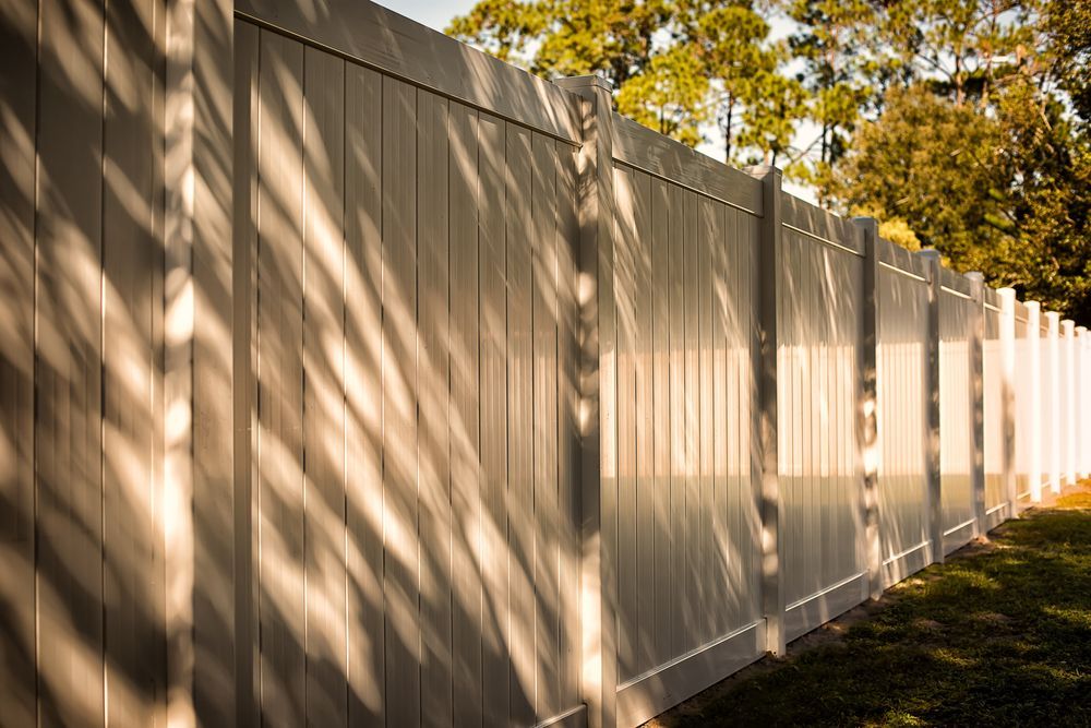 A white fence with shadows of trees on it