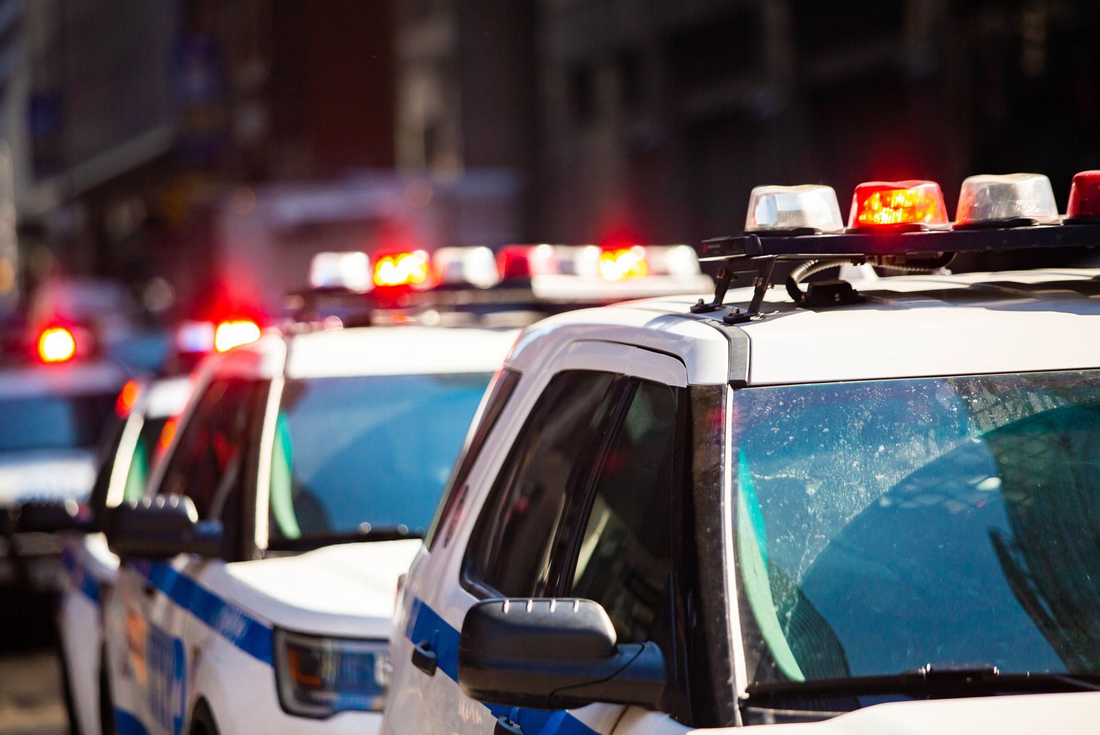 A row of police cars are parked next to each other on a city street.