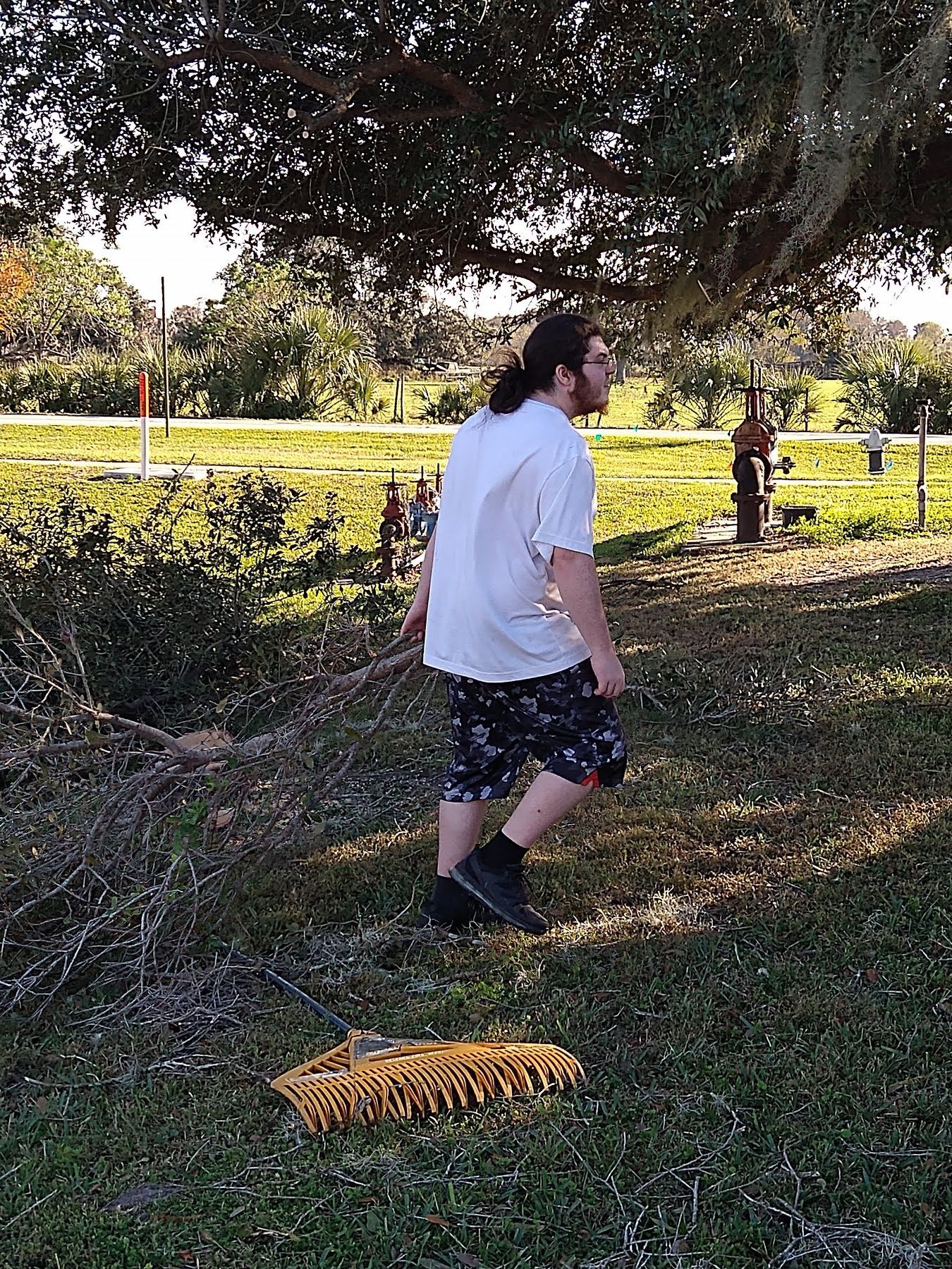 Man in white shirt and patterned shorts raking under a large tree outdoors.