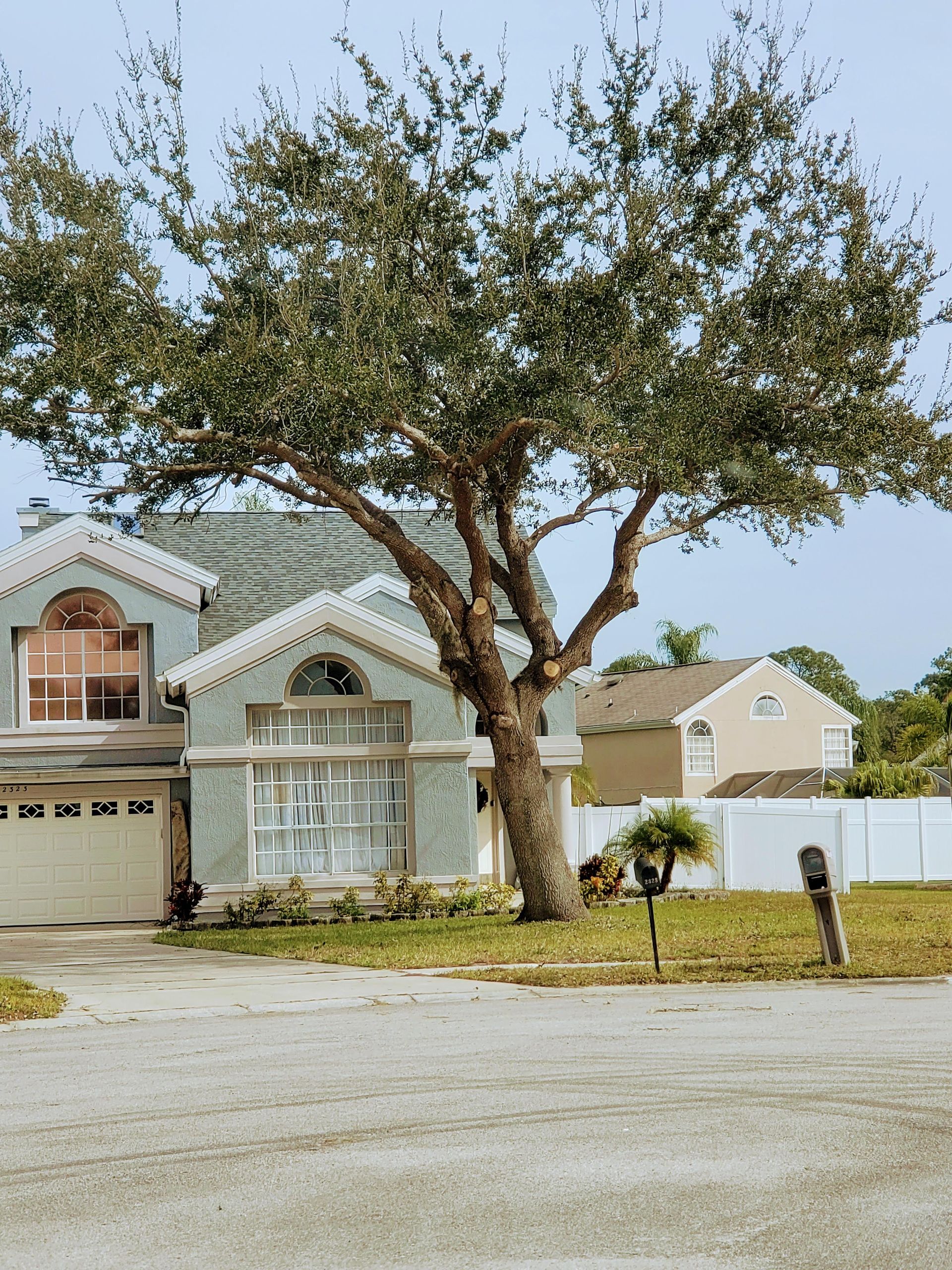 House with light blue siding and a large tree in front. White fence in the background.