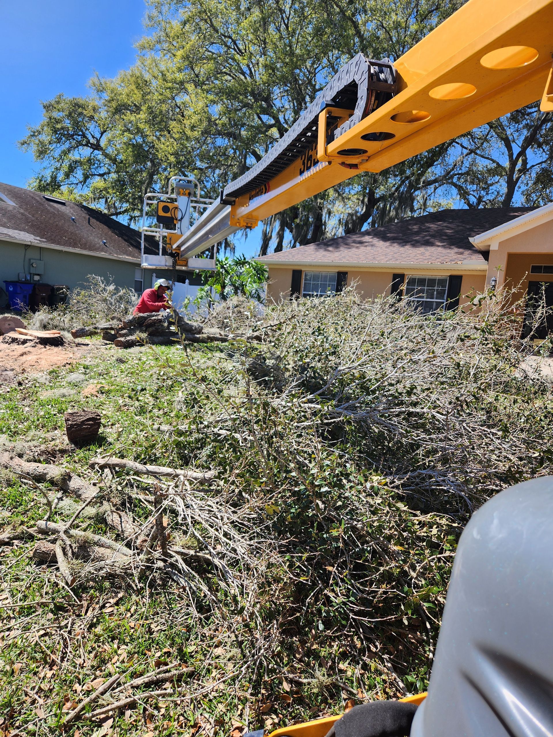 A worker in a lift trims trees near houses. Green foliage and yellow machinery are visible.