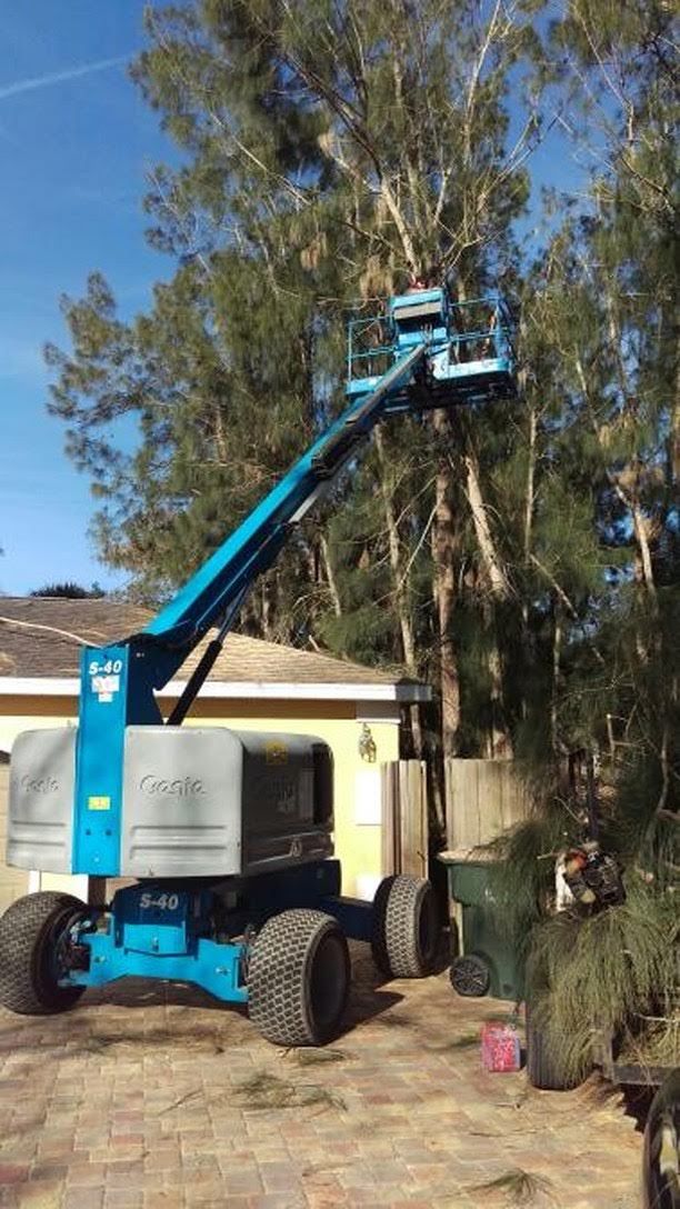 Blue lift platform trimming tall tree branches next to a house.