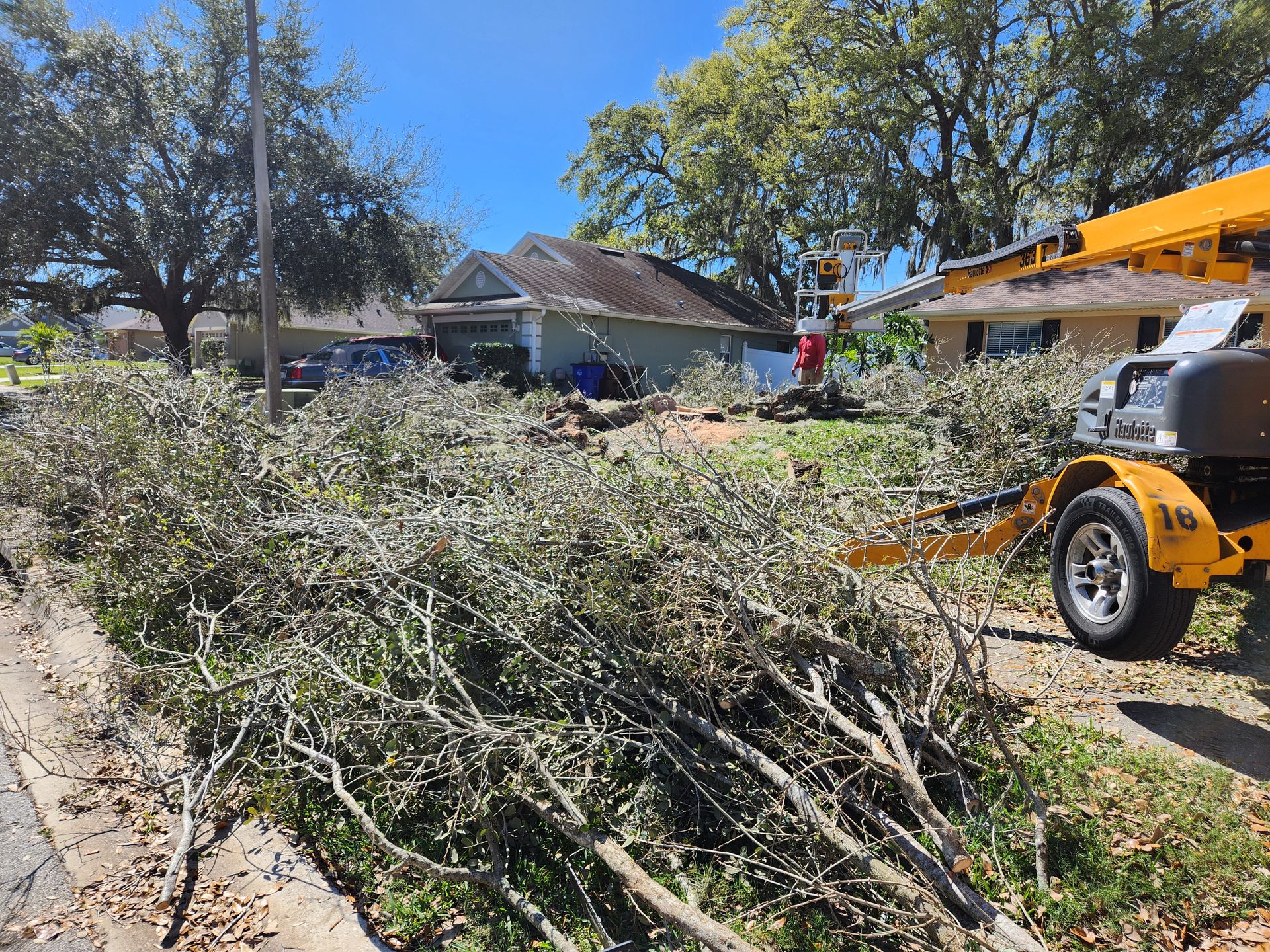 Pile of tree branches on a lawn; a yellow wood chipper sits nearby. Houses in the background under a blue sky.