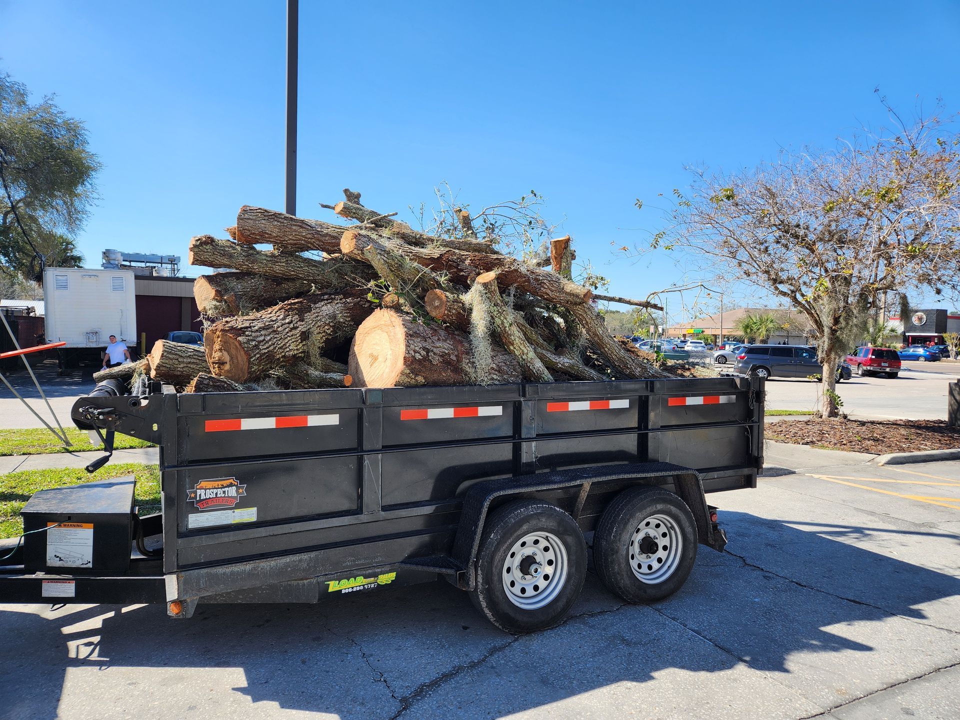 Black trailer loaded with cut tree logs parked outside on a sunny day.