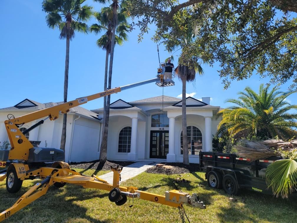 Person in a lift trimming a tree in front of a white house with palm trees; a trailer is nearby.