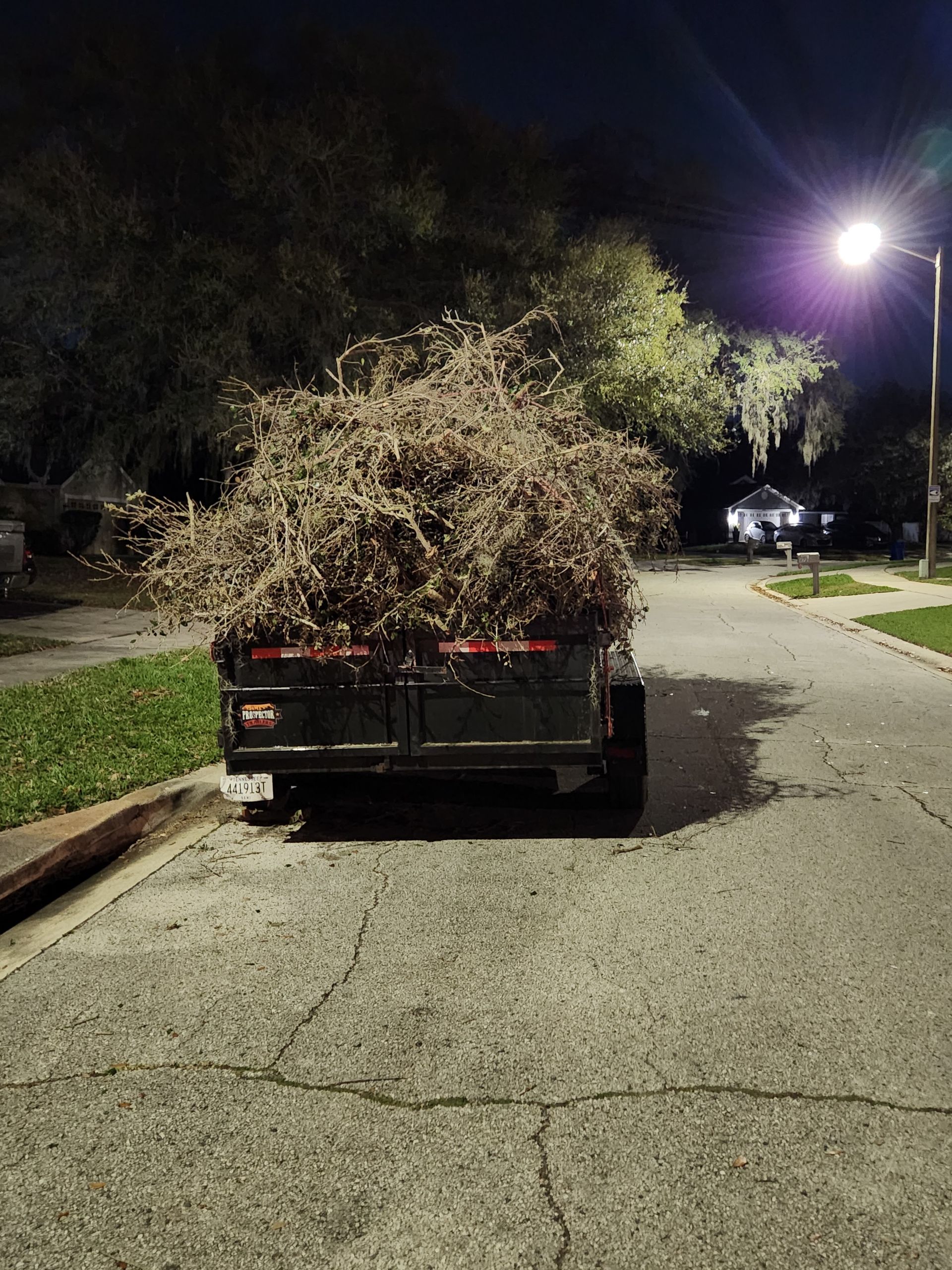 Trailer loaded with tree branches on a street at night under a street light.