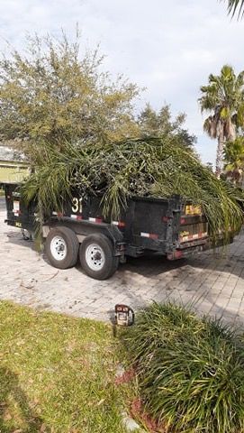 Trailer overflowing with green branches, parked on a paved driveway; a chainsaw and greenery are in the foreground.