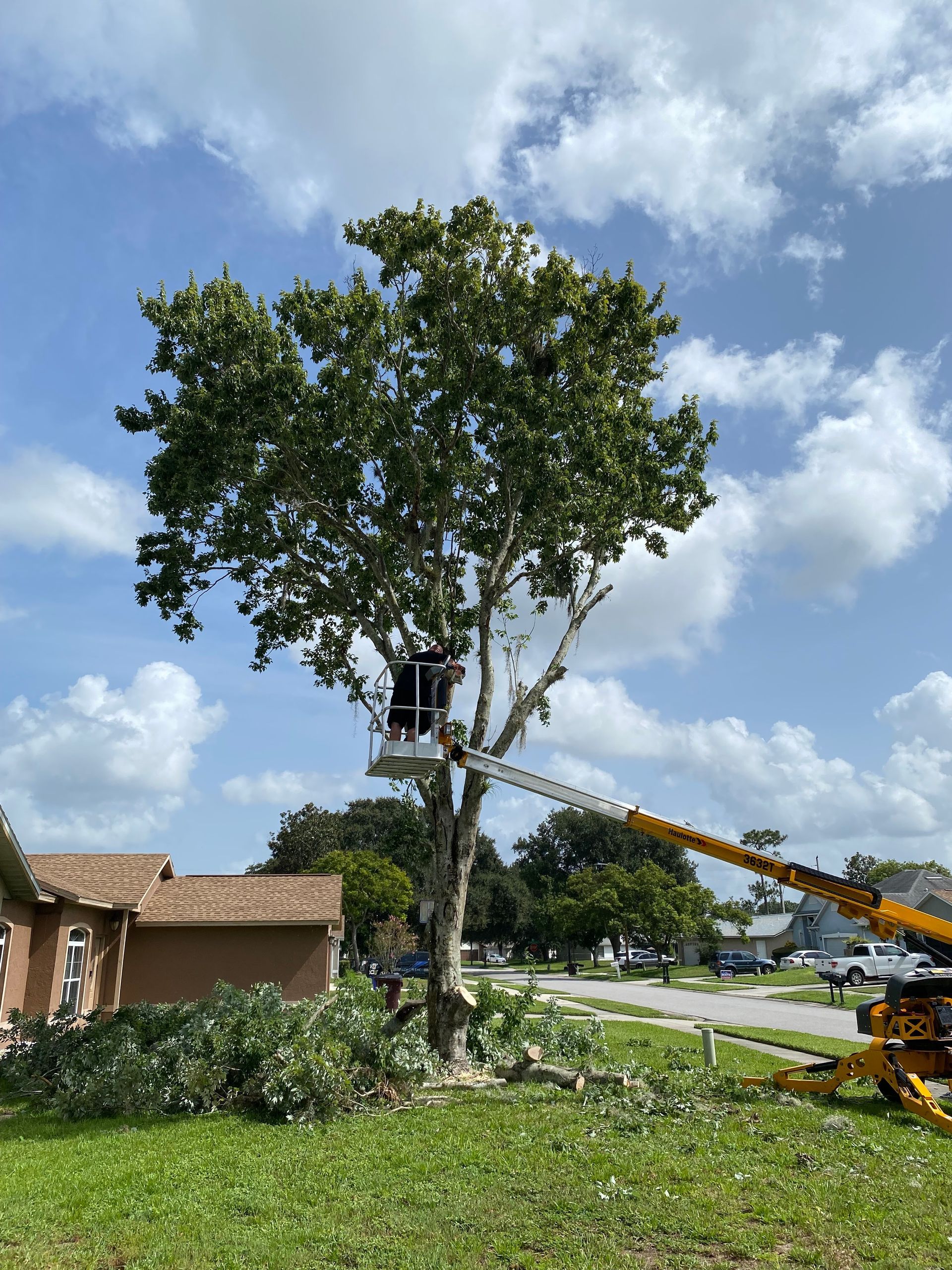 A tree being trimmed by a person in a lift, residential area, blue sky with clouds.