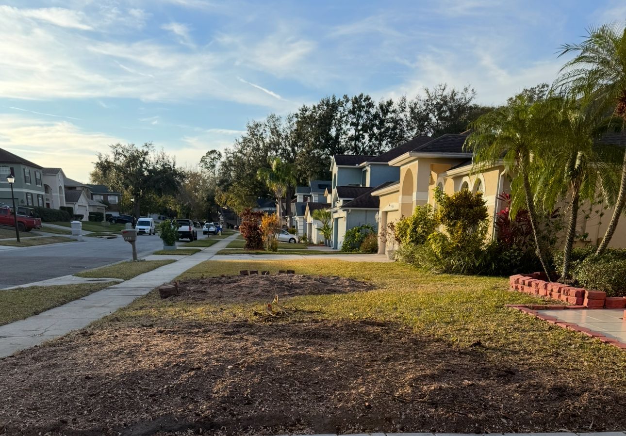 Suburban street with houses, trees, and cloudy sky.