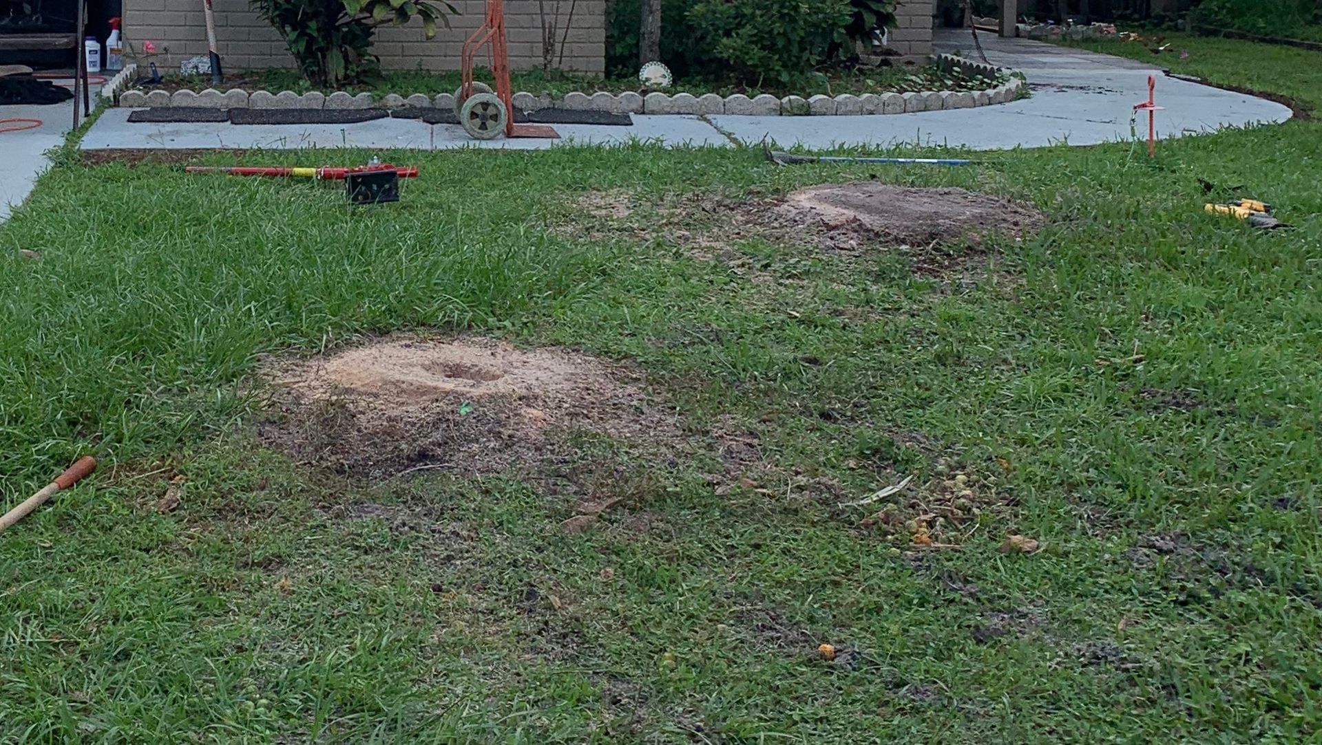 Two tree stumps in a grassy yard, with tools and a driveway in the background.