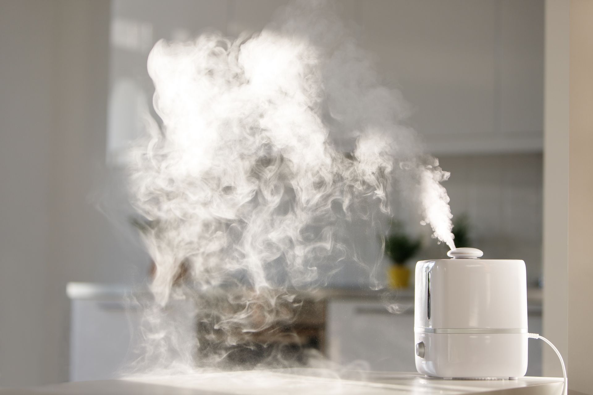 A home humidifier releasing a gentle stream of steam into the air, creating a comfortable and moist environment.