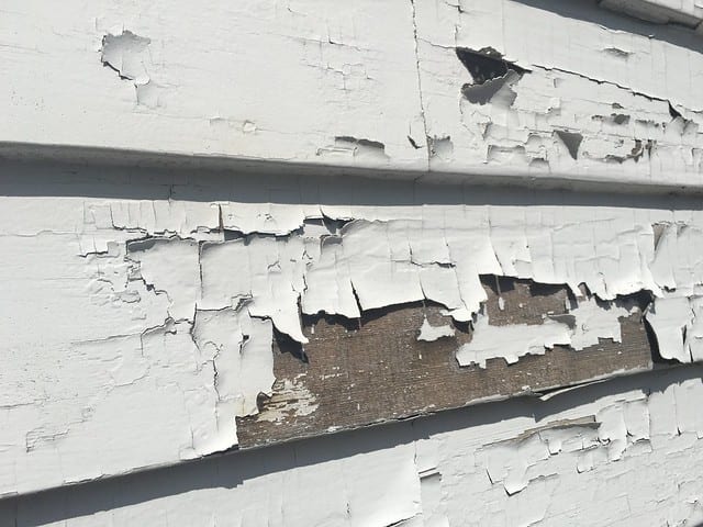 effects of lead in paint on the human body