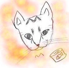 Post Card: Fire Works at Ando Family