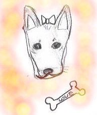 Post Card: Fire Works at Ando Family