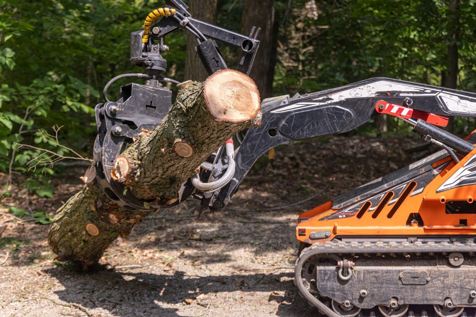 A machine is carrying a large log in the woods.