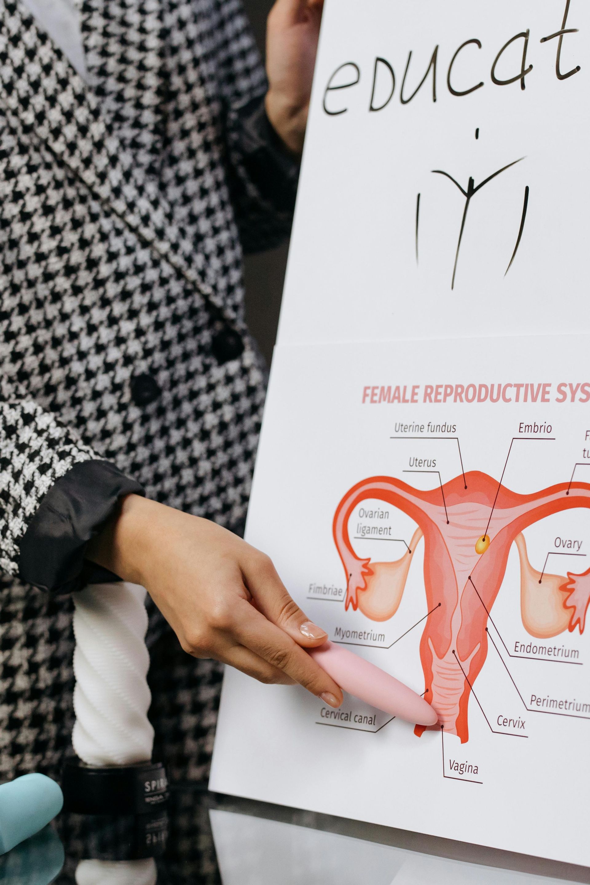 Primary Ovarian Insufficiency (Early/Premature Menopause)