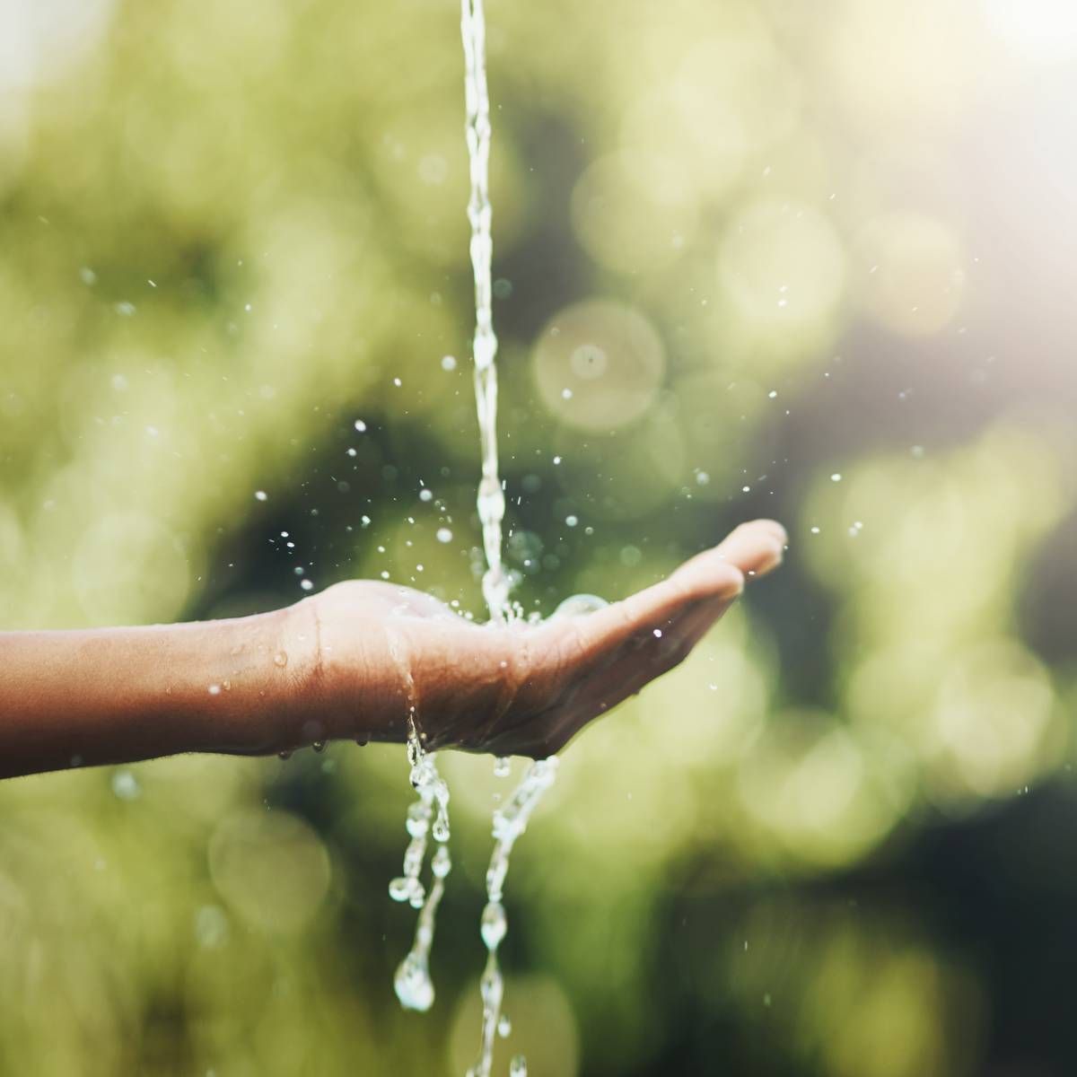 Hand catching a stream of water, outdoors with blurred green foliage.