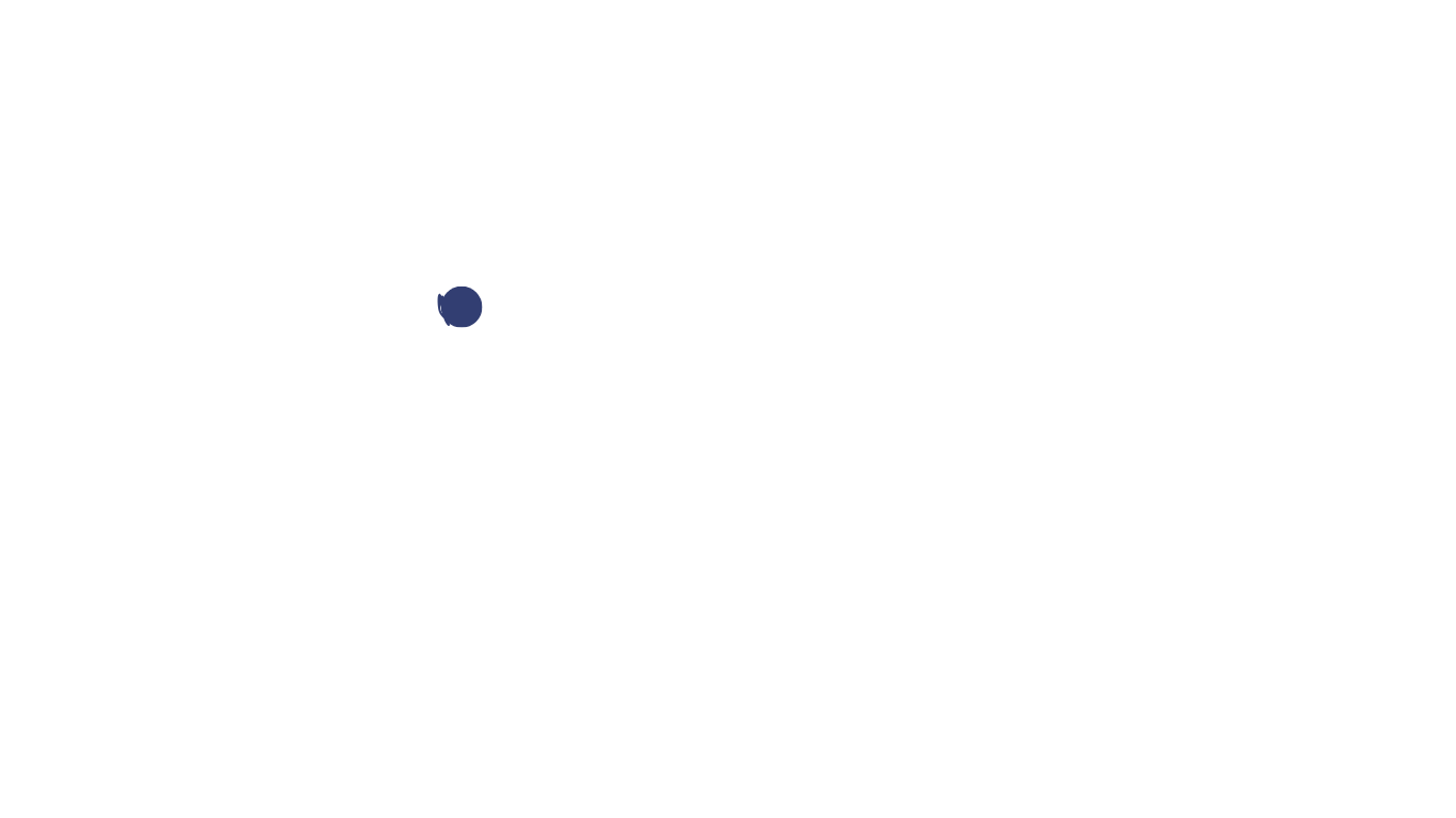 iScout Digital Marketing Agency