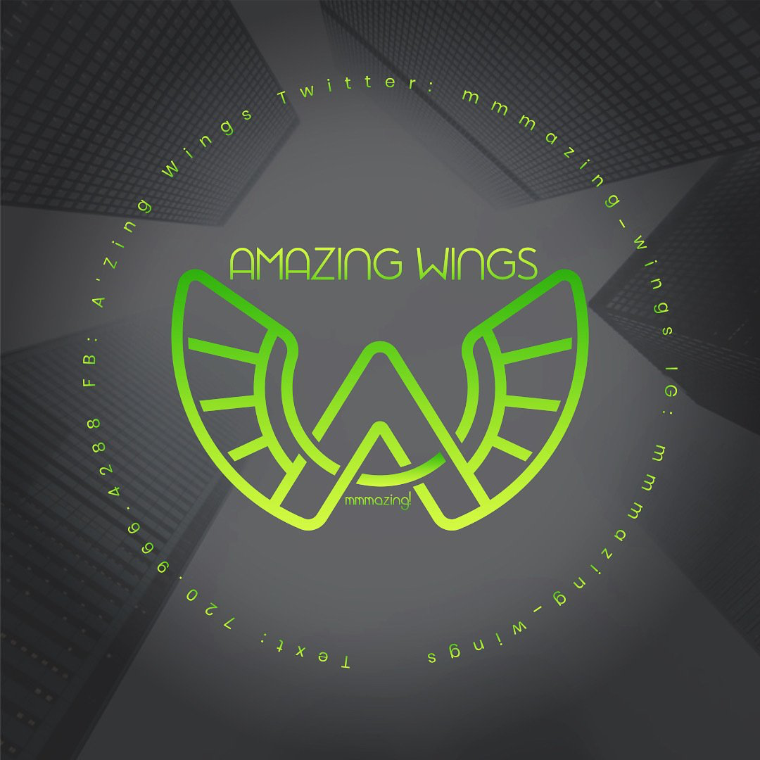 theamazingwing.com