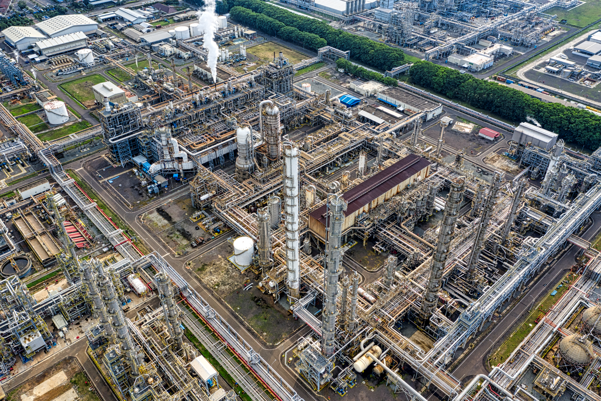 Tall white buildings and palm trees against a bright blue sky in Miami.