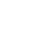 the village logo