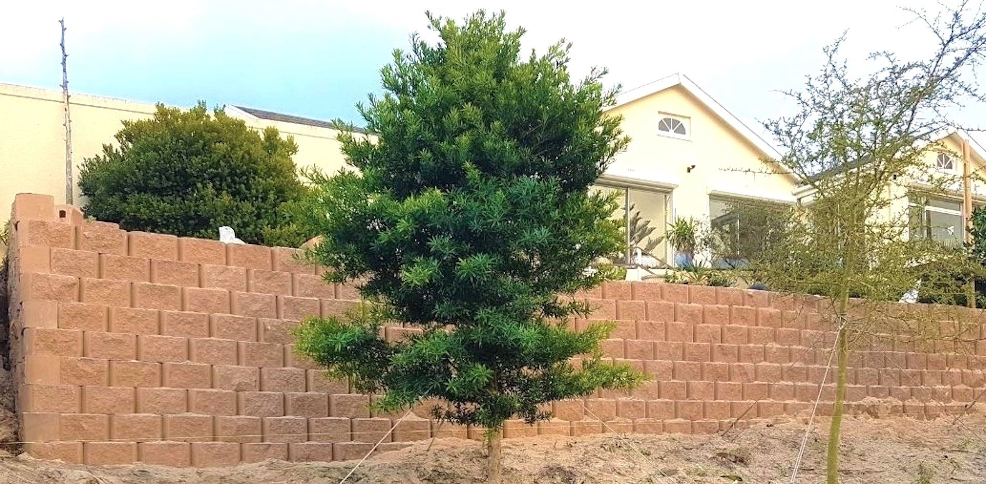 A brick wall with a tree in front of it