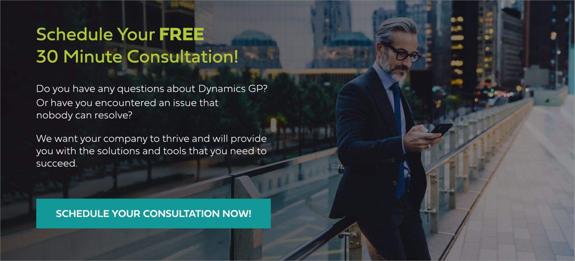 Microsoft Dynamics GP Consultation