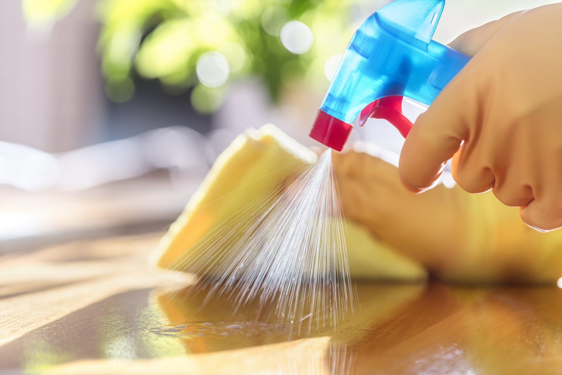 Cleaning With Spray Detergent — Elgin, IL — Brenda’s Cleaning Service