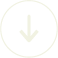Description of the image here