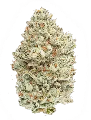 Dense cannabis bud, covered in trichomes, with green, orange, and white hues.
