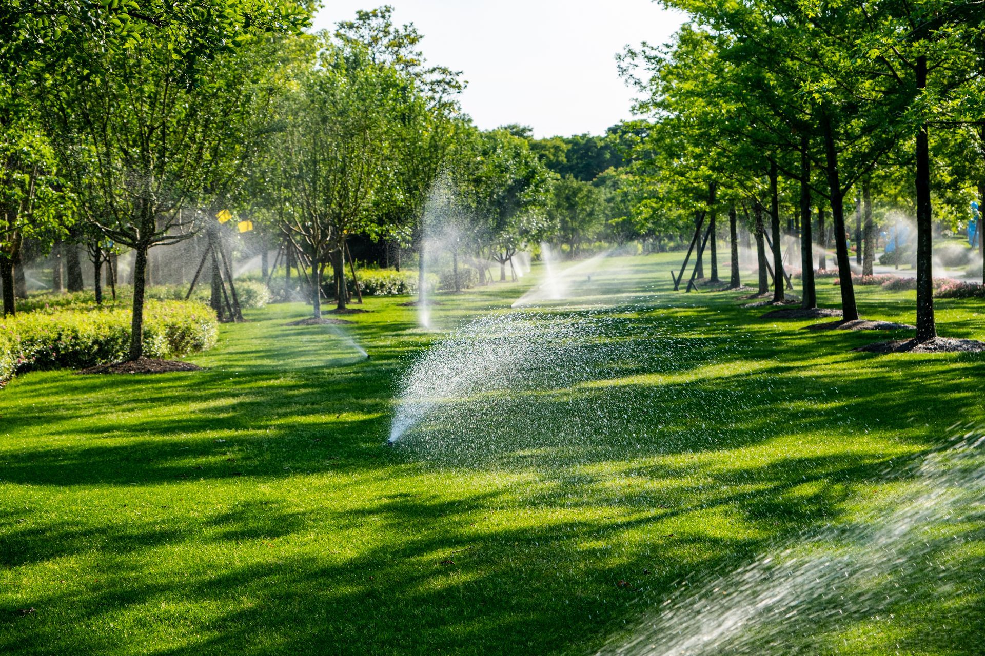Water sprinklers watering a green lawn with trees in a sunny park.