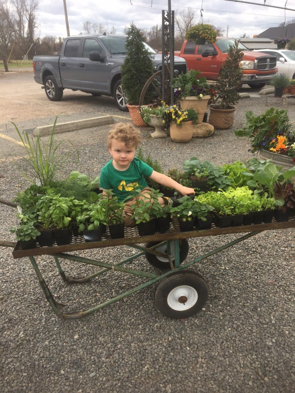 Plants — Shreveport, LA — Lex Plant Farm