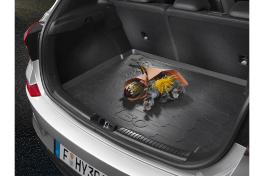 The trunk of a car with the license plate f hy30