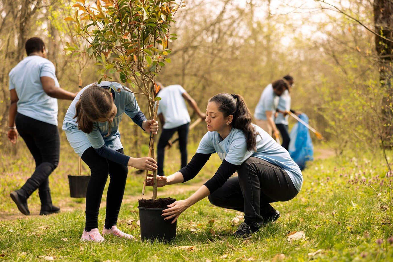 Community Gardens