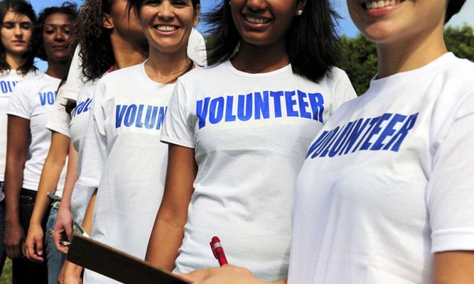 Evaluate the Nonprofit or Organization