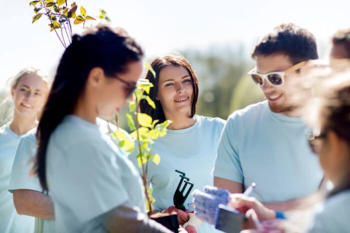 How Organizations Design Effective Volunteer Training