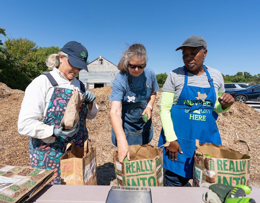 How to Get Started with Volunteering in Texas
