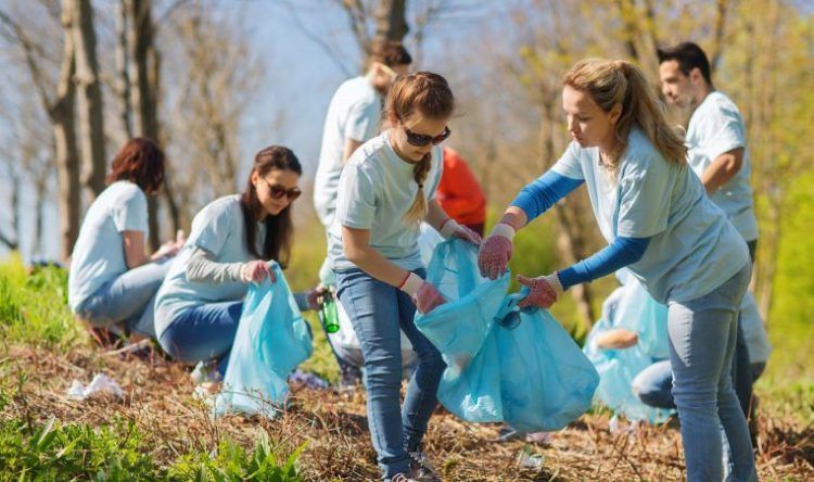 Types of Family-Friendly Volunteer Opportunities in Texas