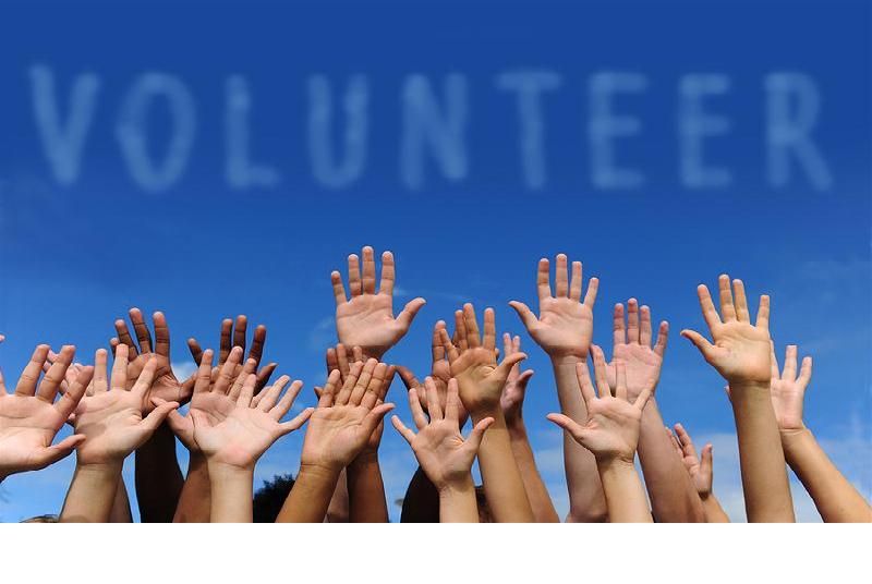 1. Why Verifying a Volunteer Program Matters