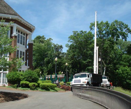 Lot Clearing — New Trim Trees in Nashville, TN
