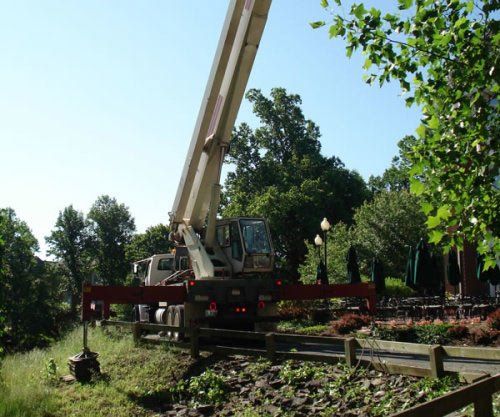 Commercial Tree Service — Actual Tree Removal in Nashville, TN