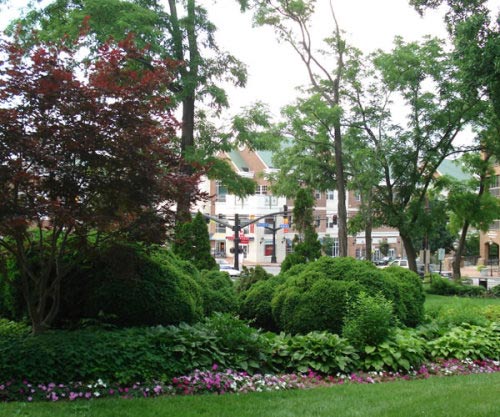 Best Tree Service — View of a Backyard in Nashville, TN