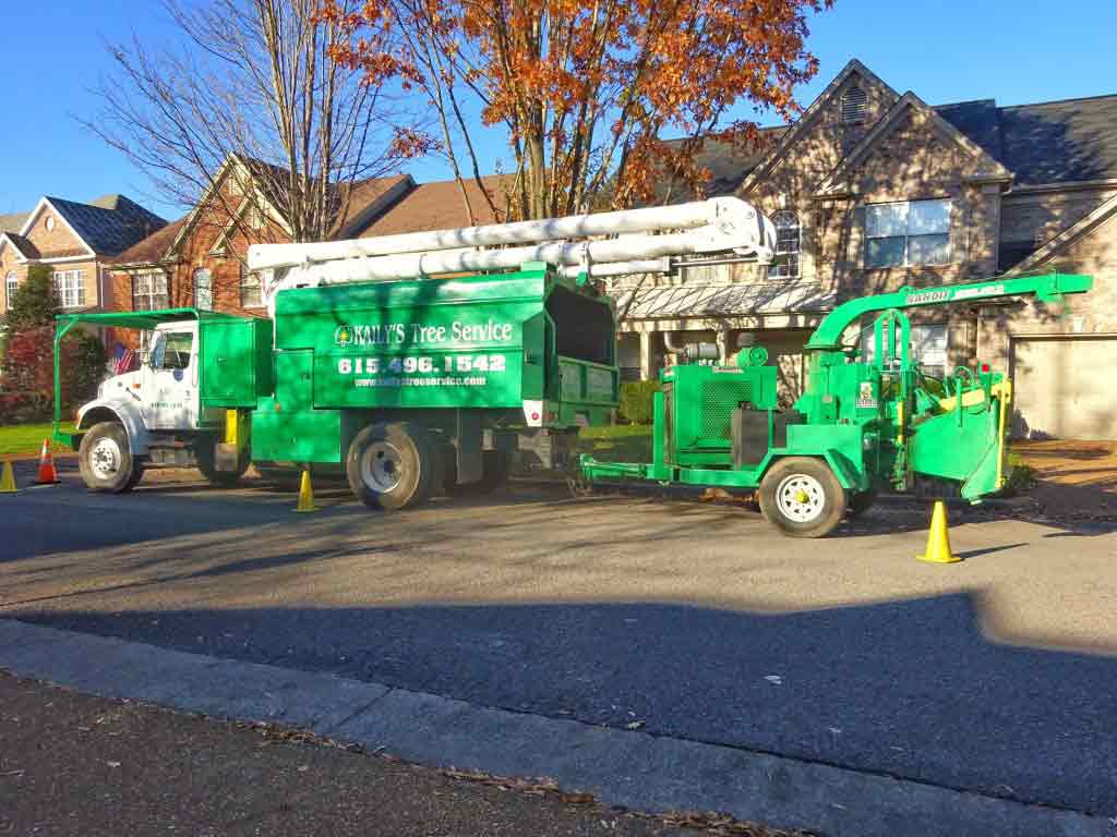 Quality Tree Trimming — Green Wood Chipper in Nashville, TN