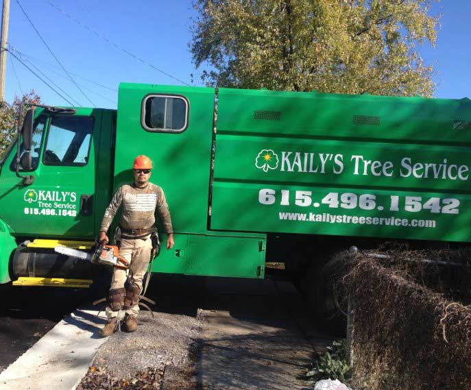 Land Clearing — Truck Operator in Nashville, TN