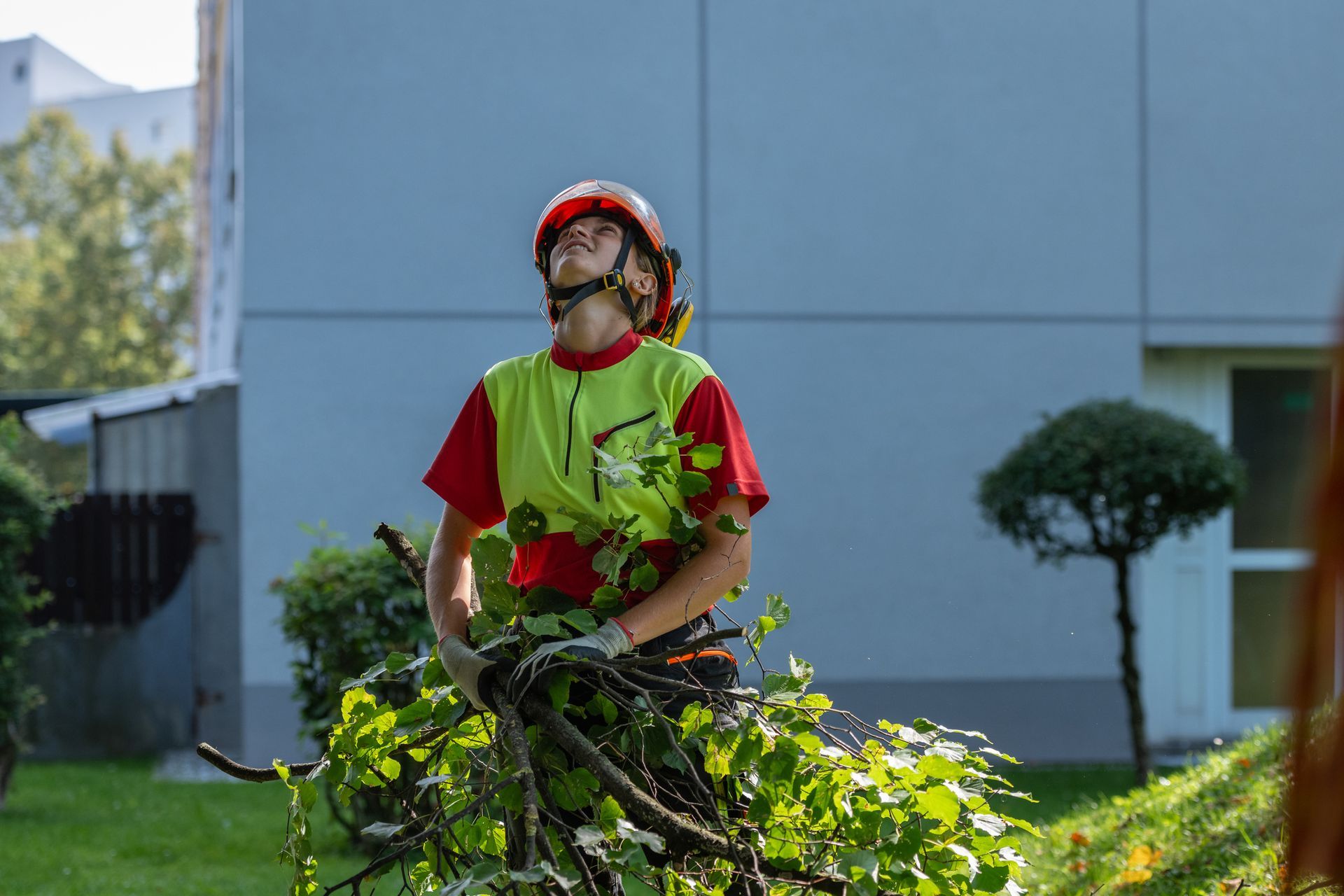 Person in safety gear carrying tree branches outdoors. Person in safety gear carrying tree branches outdoors.