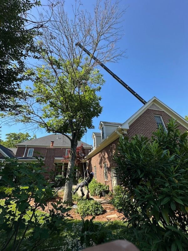 An arborist, from a tree service company, in a red uniform, removing a tree branch with a chainsaw.